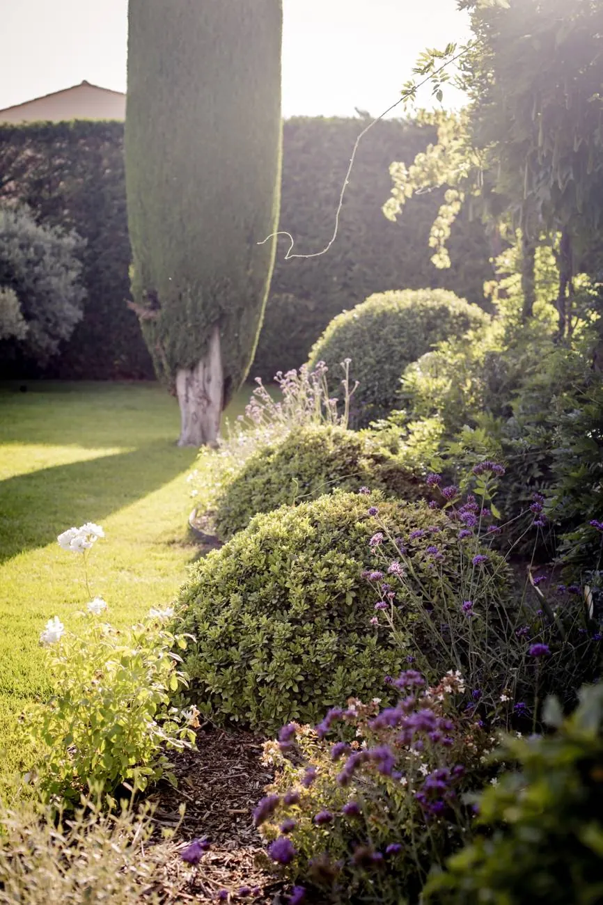 The flower beds